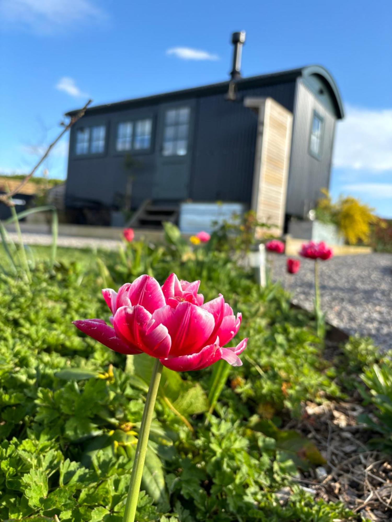The Retreat Holiday home Winford